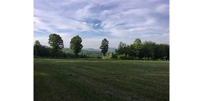 Braintree