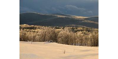 Mount Holly